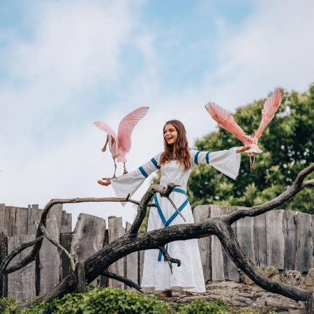 Partez au Puy du Fou