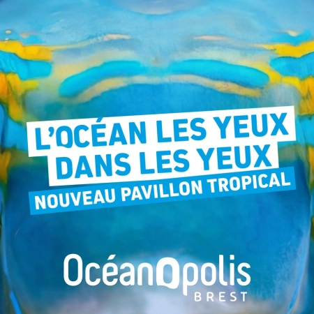 Nouveau Pavillon Tropical à Océanopolis Nouveau Pavillon Tropical à Océanopolis