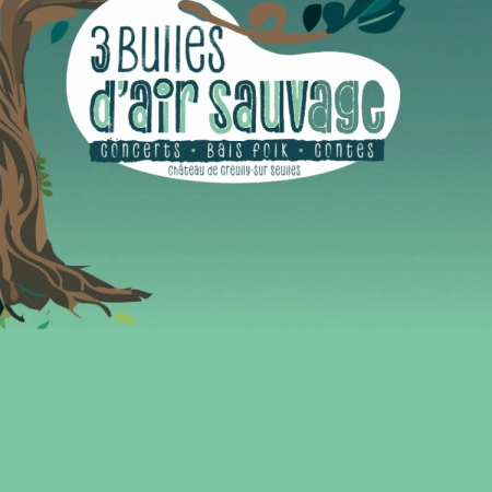 FESTIVAL « 3 BULLES D'AIR SAUVAGES » FESTIVAL « 3 BULLES D'AIR SAUVAGES »