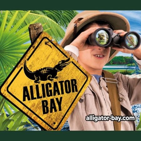 Explorez le monde fascinant d'Alligator Bay