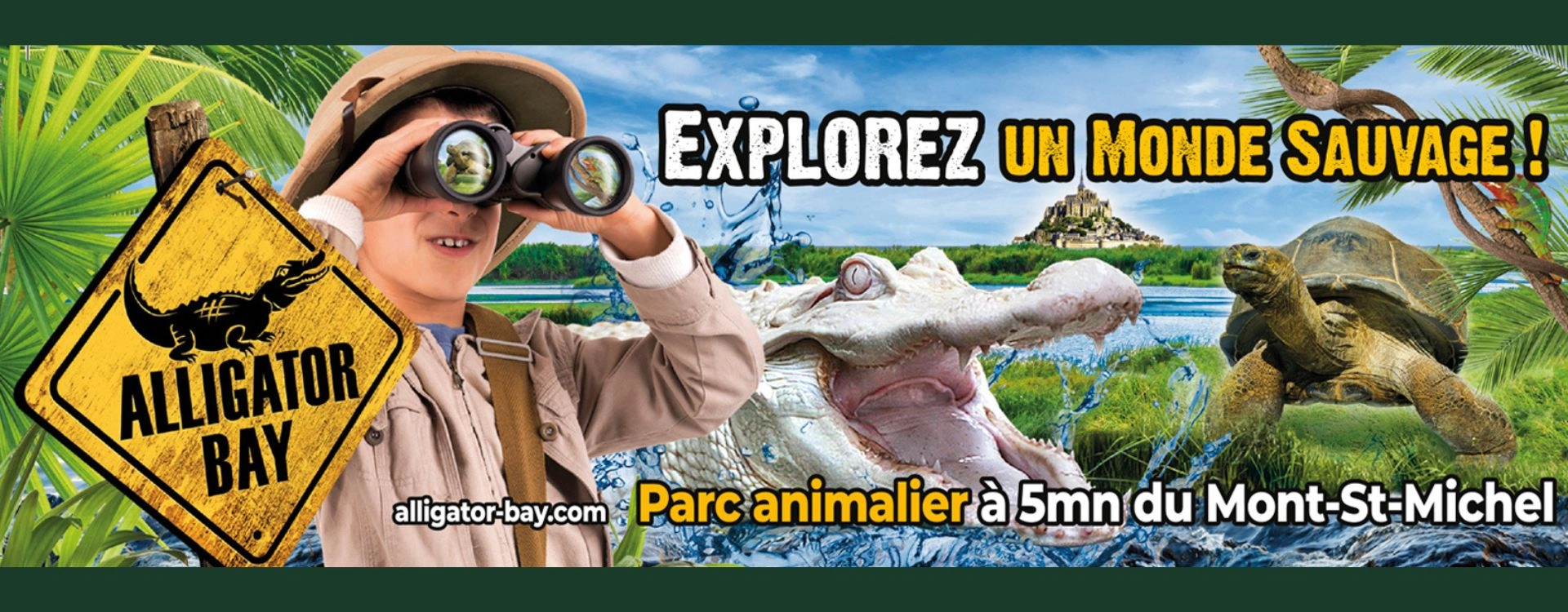 Explorez le monde fascinant d'Alligator Bay