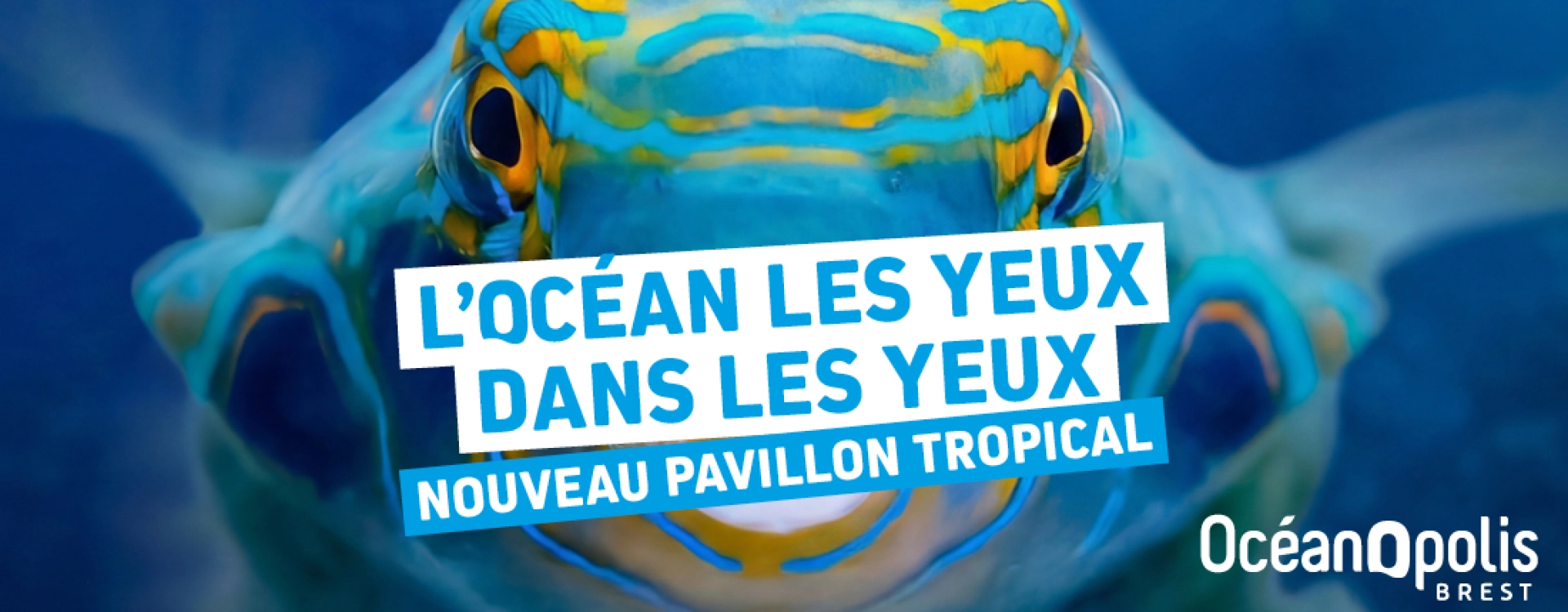 Nouveau Pavillon Tropical à Océanopolis Nouveau Pavillon Tropical à Océanopolis