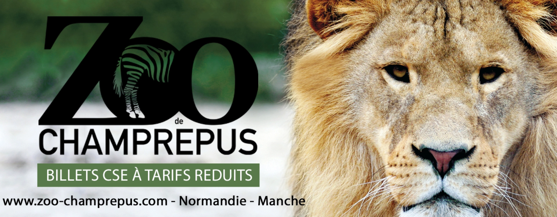 Une journée d'évasion au Zoo de Champrépus