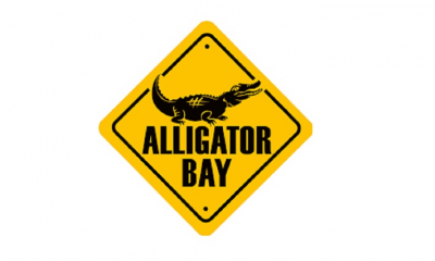 ALLIGATOR BAY