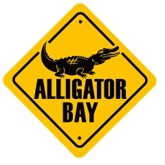 ALLIGATOR BAY ENFANT 3 à 11 ans inclus