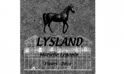 LYSLAND FLEURS/DECORS CAEN DEMI-LUNE