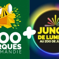 JURQUES LUMIERES JOUR ET NUIT ADULTE