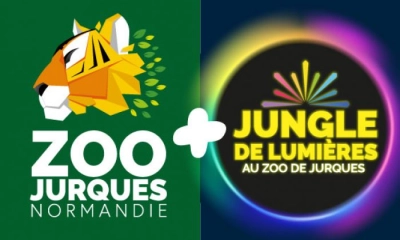 JURQUES LUMIERES JOUR ET NUIT ADULTE JURQUES LUMIERES JOUR ET NUIT ADULTE
