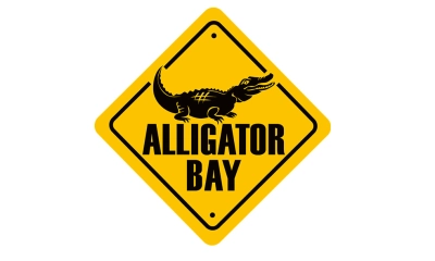 ALLIGATOR BAY ADULTE 