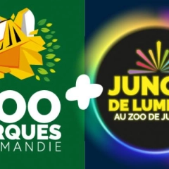 JURQUES LUMIERES JOUR ET NUIT ENFANT 
